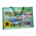 Professional manufacturer of pp non woven bag